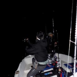 フィッシングボート空風(そらかぜ) 釣果