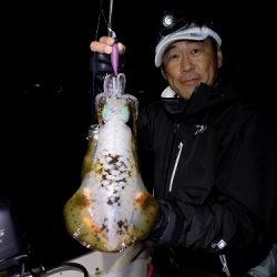 フィッシングボート空風(そらかぜ) 釣果