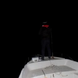 フィッシングボート空風(そらかぜ) 釣果