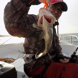 フィッシングボート空風(そらかぜ) 釣果