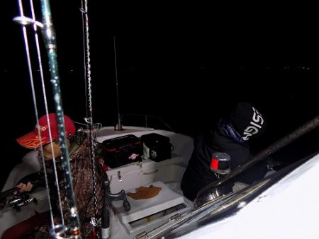 フィッシングボート空風(そらかぜ) 釣果