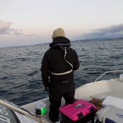 フィッシングボート空風(そらかぜ) 釣果