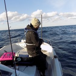 フィッシングボート空風(そらかぜ) 釣果