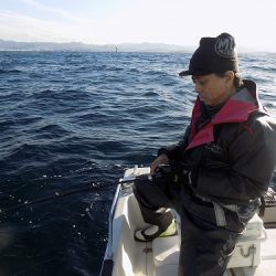 フィッシングボート空風(そらかぜ) 釣果