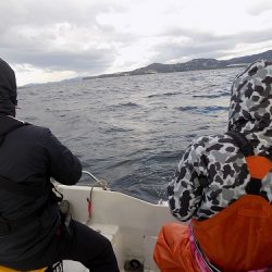 フィッシングボート空風(そらかぜ) 釣果