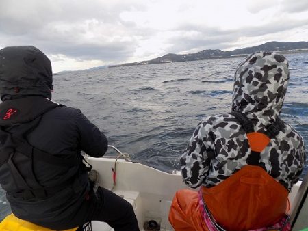 フィッシングボート空風(そらかぜ) 釣果