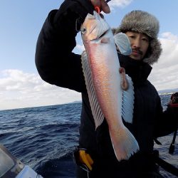 フィッシングボート空風(そらかぜ) 釣果