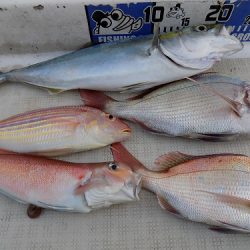 フィッシングボート空風(そらかぜ) 釣果