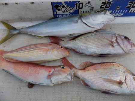 フィッシングボート空風(そらかぜ) 釣果