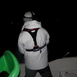 フィッシングボート空風(そらかぜ) 釣果