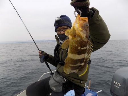 フィッシングボート空風(そらかぜ) 釣果