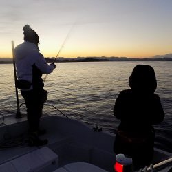 フィッシングボート空風(そらかぜ) 釣果