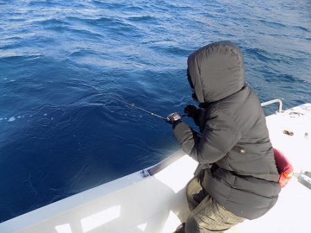 フィッシングボート空風(そらかぜ) 釣果