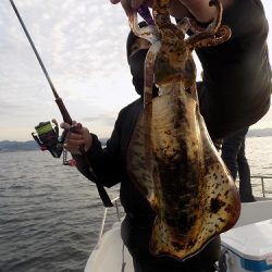 フィッシングボート空風(そらかぜ) 釣果