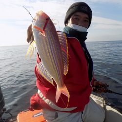 フィッシングボート空風(そらかぜ) 釣果