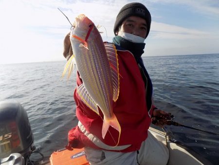 フィッシングボート空風(そらかぜ) 釣果