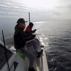 フィッシングボート空風(そらかぜ) 釣果