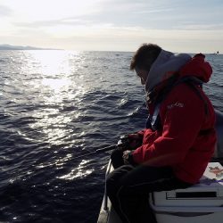 フィッシングボート空風(そらかぜ) 釣果