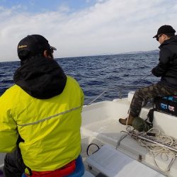 フィッシングボート空風(そらかぜ) 釣果