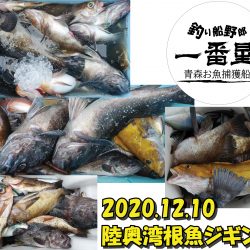 釣り船一番星 釣果