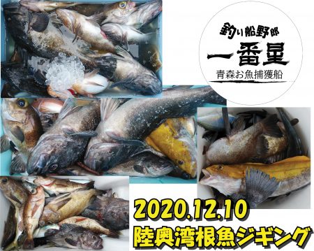 釣り船一番星 釣果