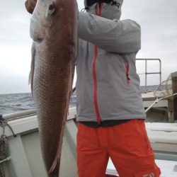 飛燕さくら丸 釣果