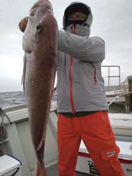 飛燕さくら丸 釣果