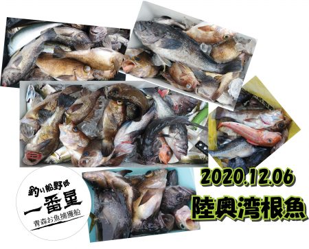 釣り船一番星 釣果