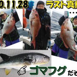 釣り船一番星 釣果