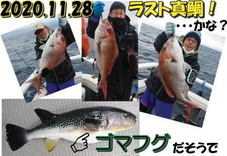 釣り船一番星 釣果