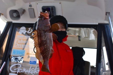 Fisherman Dreams DI 釣果