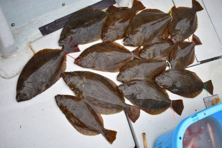 Fisherman Dreams DI 釣果