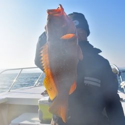 Fisherman Dreams DI 釣果