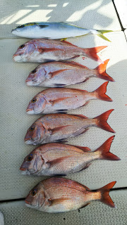 釣り舟　海竜 釣果