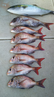 釣り舟　海竜 釣果