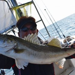 Fisherman Dreams DI 釣果