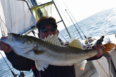 Fisherman Dreams DI 釣果