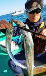 恵比寿丸（兵庫） 釣果