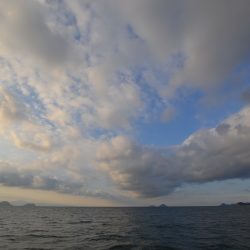 アジアマリンサービス 釣果