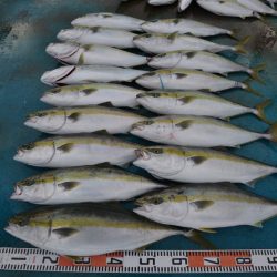 アジアマリンサービス 釣果