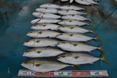 アジアマリンサービス 釣果