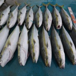 アジアマリンサービス 釣果