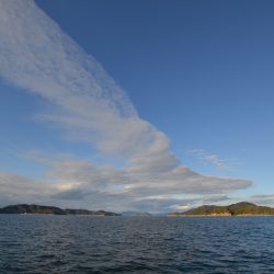 アジアマリンサービス 釣果