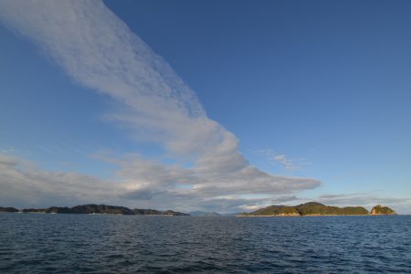 アジアマリンサービス 釣果