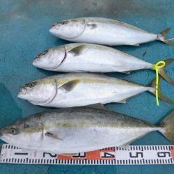 アジアマリンサービス 釣果