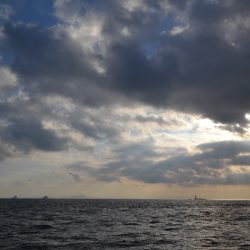 アジアマリンサービス 釣果