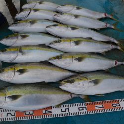 アジアマリンサービス 釣果