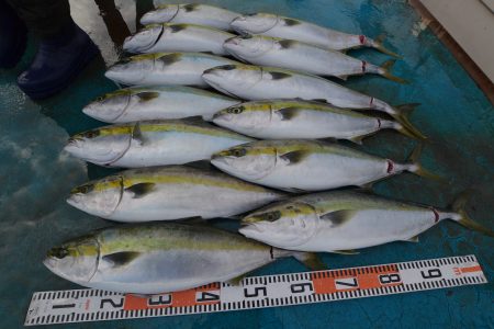 アジアマリンサービス 釣果