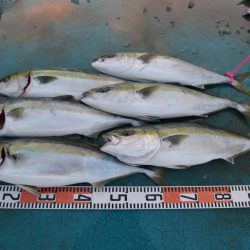 アジアマリンサービス 釣果