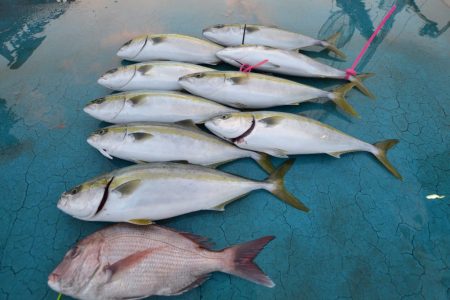 アジアマリンサービス 釣果